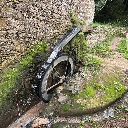 Spring Water House Σπίτι διακοπών
